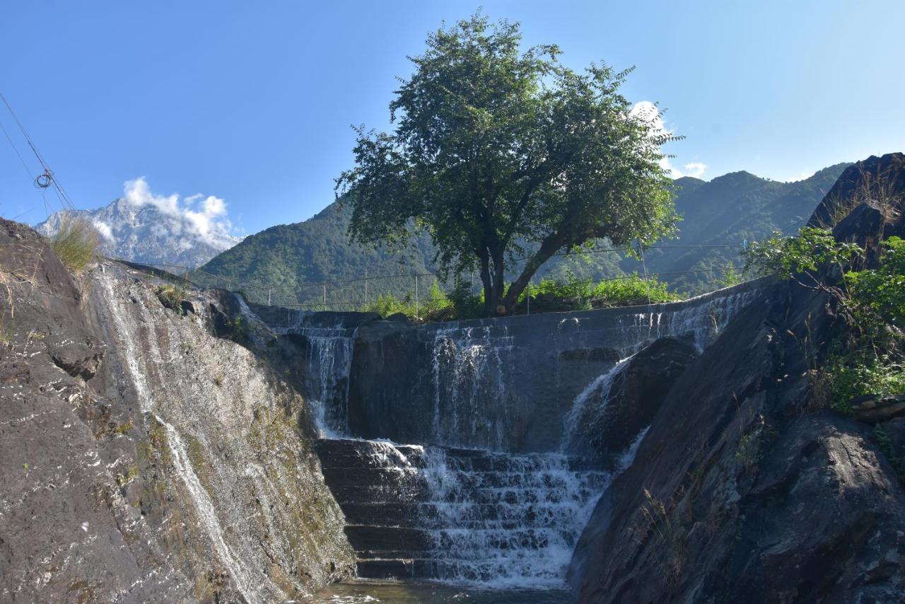 Hill Ventures Adventure Camp And Restaurant Hotel Dharamshala Exterior photo